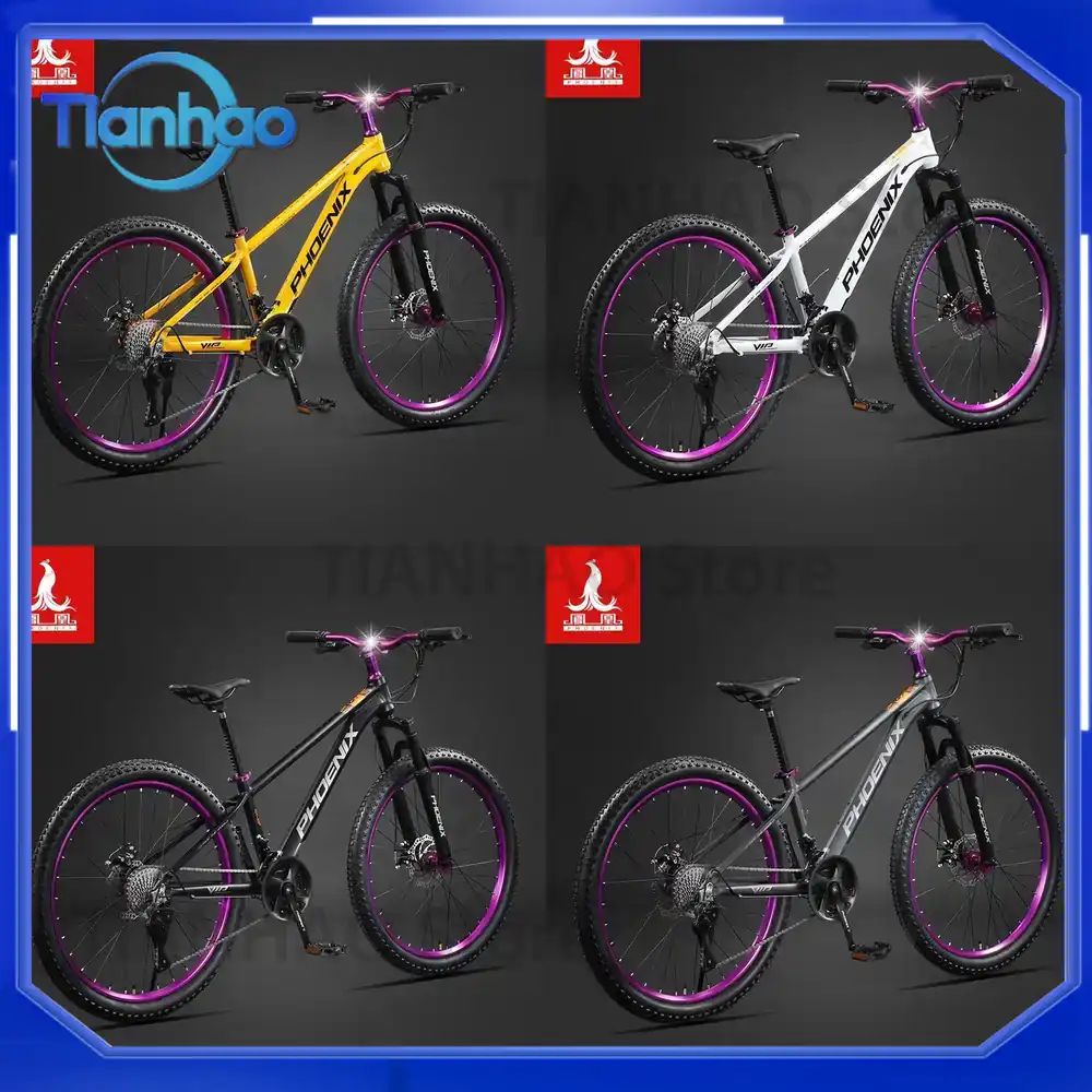 Aluminium-Legierung Mountainbi – Mountain Biking Phoenix Bewertung und Preis