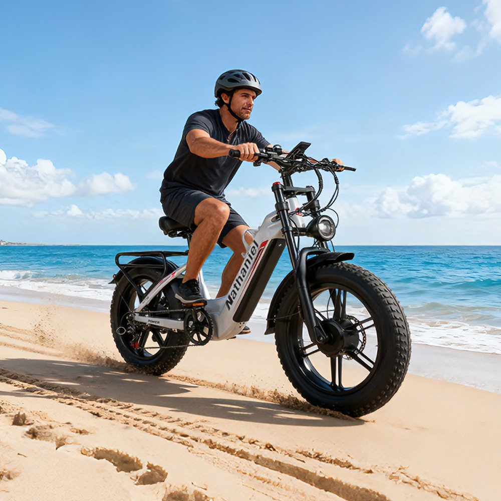 20-Zoll-Elektrofahrrad 2*1000W – Mountain Biking Gear For Men Bewertung und Preis